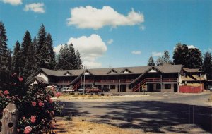 TWAIN HARTE CALIFORNIA~WILDWOOD INN-SONORA PASS VACATIONALAND~POSTCARD