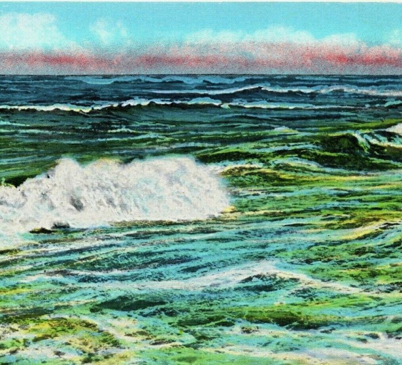 Greetings from Rehoboth Beach, Delaware, Ocean Waves, Surf, Postcard