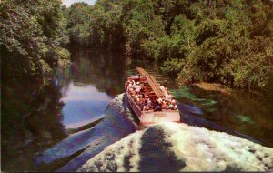 Florida Silver SpringsTourist Going Down Silver River On Jungle Cruise