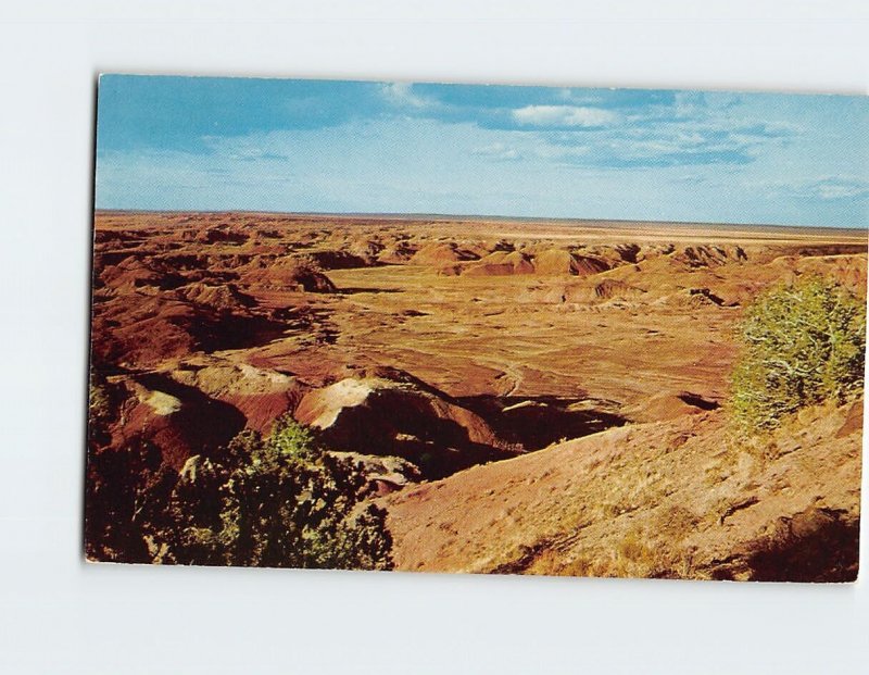 Postcard Painted Desert, Arizona