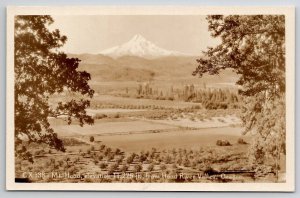 RPPC Mt Hood From Hood River Valley Oregon Postcard B42