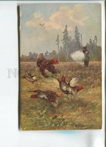 482106 HUNT Hunter shooting partridge by MULLER Mueller Vintage postcard #351