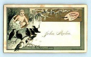 1870's-80's Engraved New Year's Card Baby In Big Egg Birds Snow Fab! P161