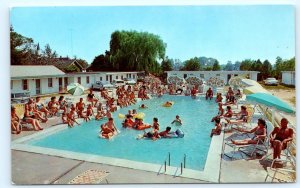 RIO GRANDE, New Jersey NJ ~ Roadside POLLY'S MOTEL Pool~Cape May County Postcard