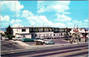 LAGUNA BEACH, CA  California   The SEACLIFF   c1950s   Cars  Roadside  Postcard