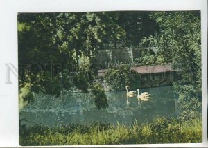 465834 POLAND Zhelyazova Wola view the swans park Old Russian edition postcard