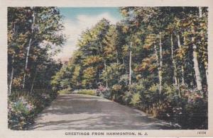 New Jersey Greetings From Hammonton 1945