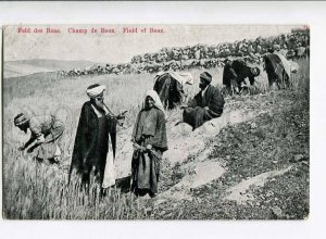 262976 Palestine JERUSALEM Field of Boaz Smoking rabbi Vintage