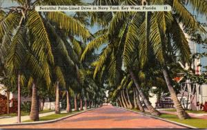 Florida Key West Beautiful Palm Lined Drive In Navy Yard