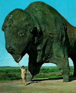 World's Largest Buffalo Bison Jamestown North Dakota 60 Ton Vintage Postcard P94