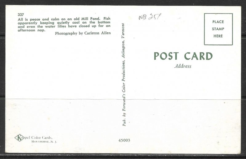 Vermont - Old Mill Pond - [VT-040]