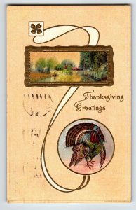 Thanksgiving Day Greetings Postcard Turkey Embossed Series 940 Vintage 1909 JB