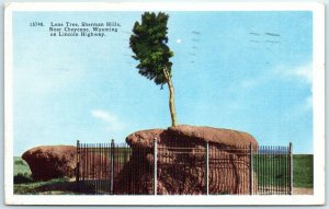 Postcard - Lone Tree, Sherman Hills, Near Cheyenne, Wyoming on Lincoln Highway