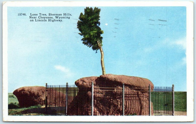 Postcard - Lone Tree, Sherman Hills, Near Cheyenne, Wyoming on Lincoln Highway 