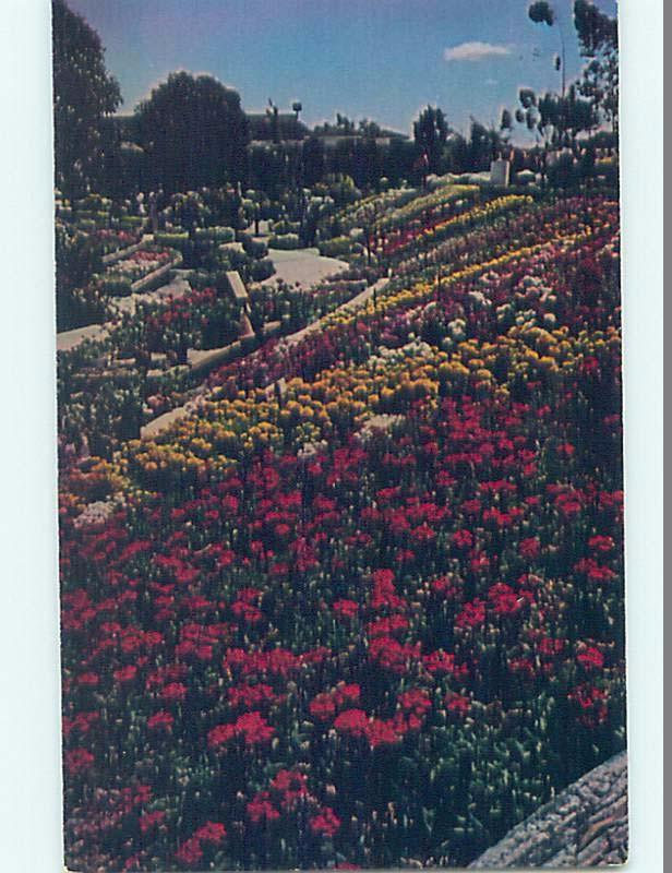 Unused Pre-1980 GARDEN SCENE Newport Beach - Los Angeles California CA F0266