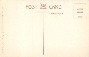 Cedar Avenue Bermuda Postcard