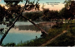 Lake View in St4euben County Near Angola IN c1916 Vintage Postcard B72
