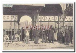 Tours Old Postcard Entree of running cattle TOP