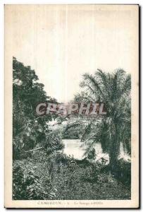 Old Postcard The Sanage Cameroon Edea