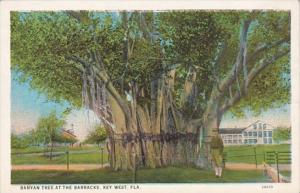 Florida Key West Banyan Tree At The Barracks Curteich