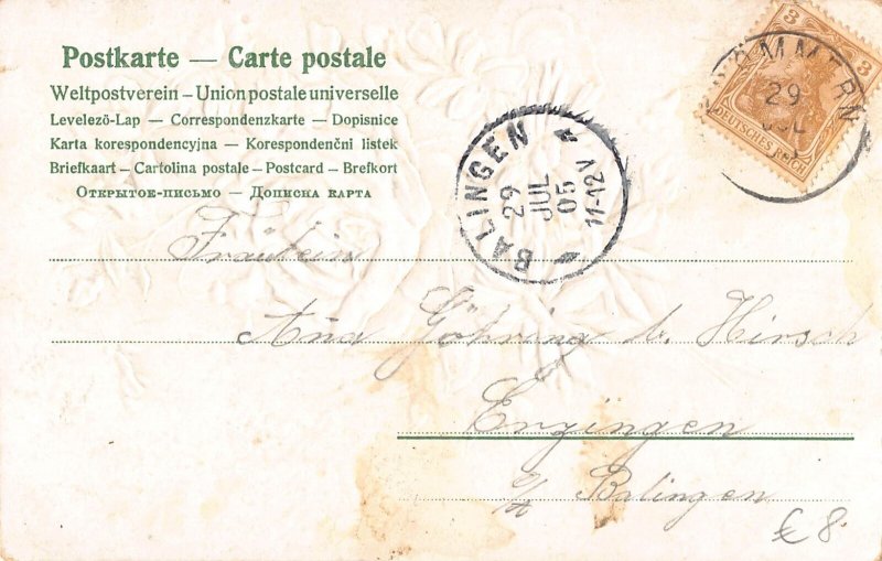 Spring Greetings 1905 Roses Violets and Daisy Flowers embossed postcard