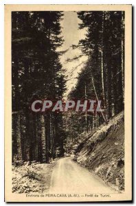 Old Postcard surroundings Peira Cava A M Foret de Turini