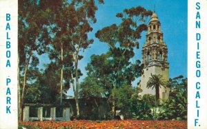 USA Balboa Park San Diego California Vintage Postcard 07.15