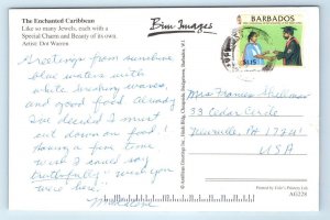 THE ENCHANTED CARIBBEAN Illustrated Map Cartograph 4x6 Dot Warren Postcard