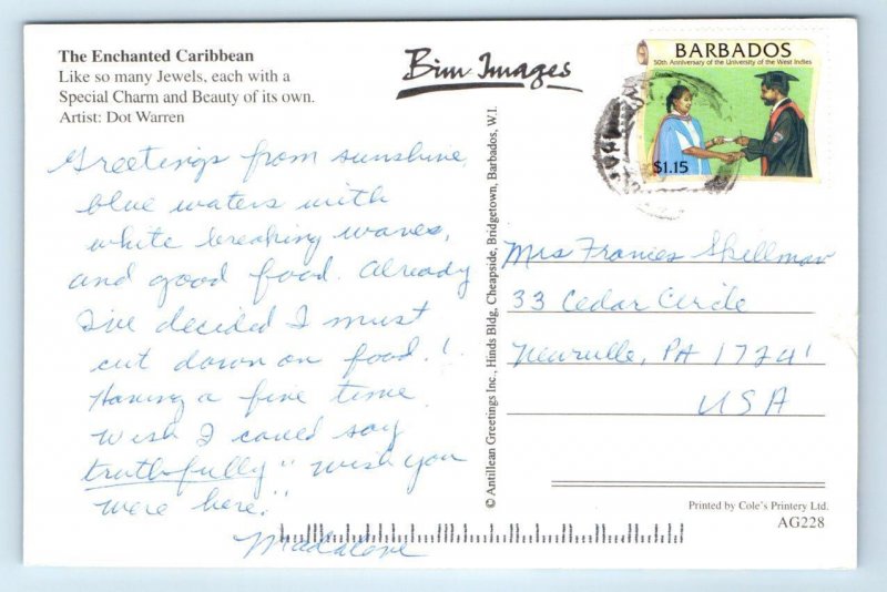 THE ENCHANTED CARIBBEAN Illustrated Map Cartograph 4x6 Dot Warren Postcard