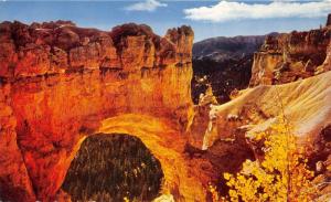 Bryce Canyon National Park Utah~Natural Bridge~1963 Postcard