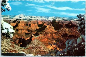 M-24440 The snow-capped pines on the rim of Grand Canyon National Park Arizona