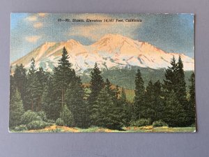 Mount Shasta CA Litho Postcard A1144082834