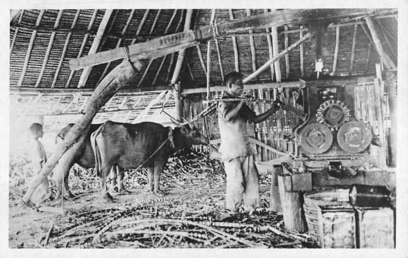 Asian Native Man Cow Workshop Real Photo Antique Postcard K100912