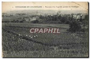 Old Postcard Folklore Wine Vintage Champagne & # 39un Panorama of vineyards d...