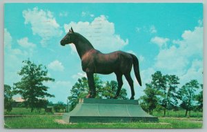 Lexington Kentucky~Man O War~Vintage Postcard 