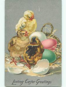 Divided-Back EASTER CHICK SCENE Cute Postcard AA1014