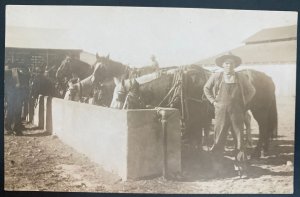 Mint USA Real Picture Postcard Cowboy Horses Drinking Water After Hefner