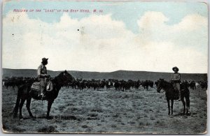 1910's Holding Up The Lead Of The Beef Herd on The Desert Posted Postcard