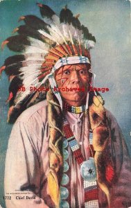 Native American Indian Chief David, Williamson-Haffner No 1772