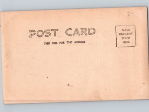 c1906 Snohomish Bicycle Cedar Tree Path Everett Washington WA RPPC Real Photo