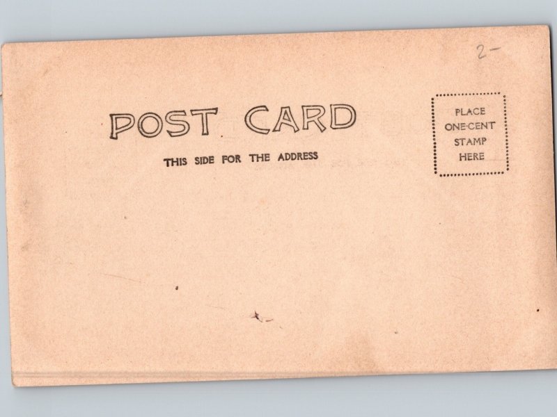 c1906 Snohomish Bicycle Cedar Tree Path Everett Washington WA RPPC Real Photo