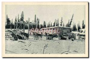 Old Postcard Dog Dogs Traveling on the Arctic Polar Circle Alsaka