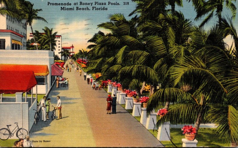 Florida Miami Beach Promenade At Roney Plaza Pools 1940