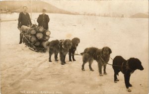 PC CPA US, ALASKA, THE USEFUL ALASKAN DOG, VINTAGE REAL PHOTO POSTCARD (b6865)