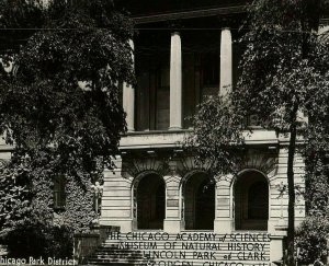  Rppc Vtg Postcard Real Photo Academy Sciences Museum History Chicago Illinois