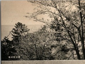 1920s NEW WAKAURA JAPAN FUTAGOSHIMA ISLANDS POSTCARD P1557