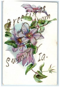 c1910's Greetings From Sumner Iowa IA Unposted Leaves And Flowers Scene Postcard