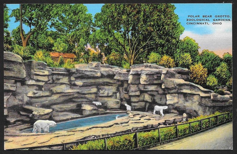 Polar Bear Grotto Zoological Gardens Cincinnati Ohio Unused c1930s