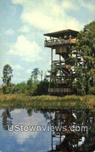 Okefenokee Swamp Park - Folkston, Georgia GA