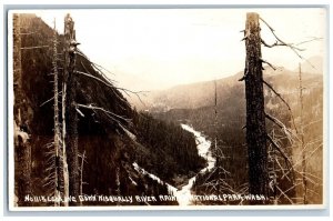 Rainier National Park WA Postcard RPPC Photo Looking Down Nisqually River c1910s